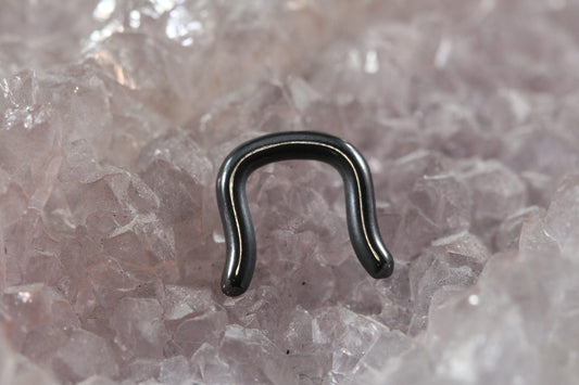 Polished Niobium Septum Retainer image 0