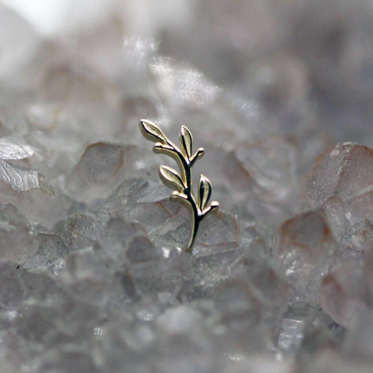 BVLA Tiny Amity Threadless End