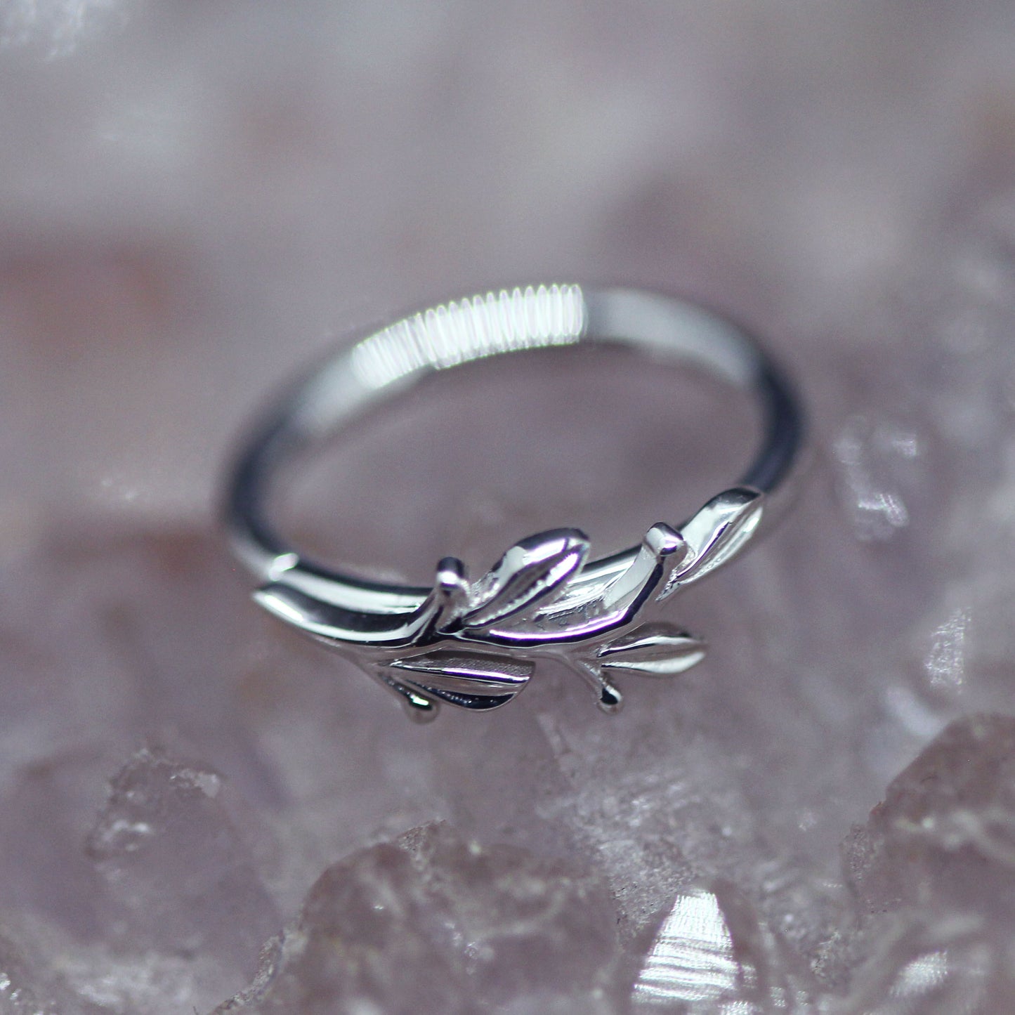 BVLA Amity Seam Ring