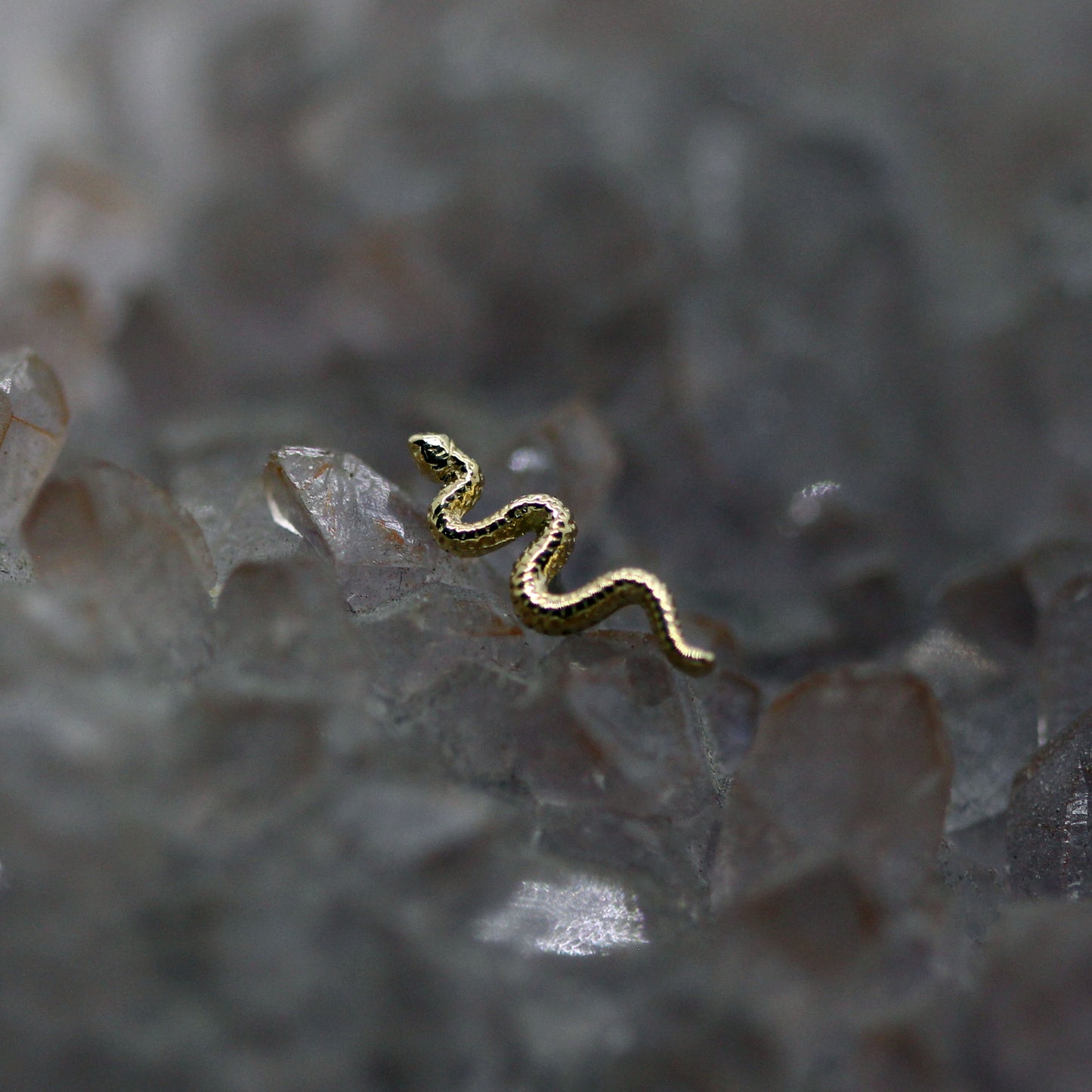 BVLA Delicate Snake Threadless End
