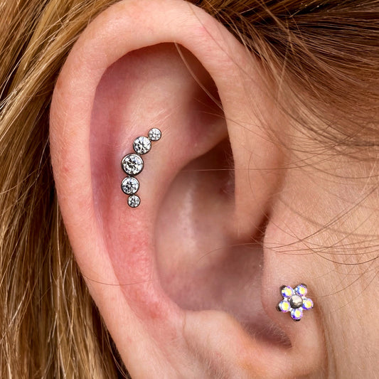 Helix (Ear Cartilage)