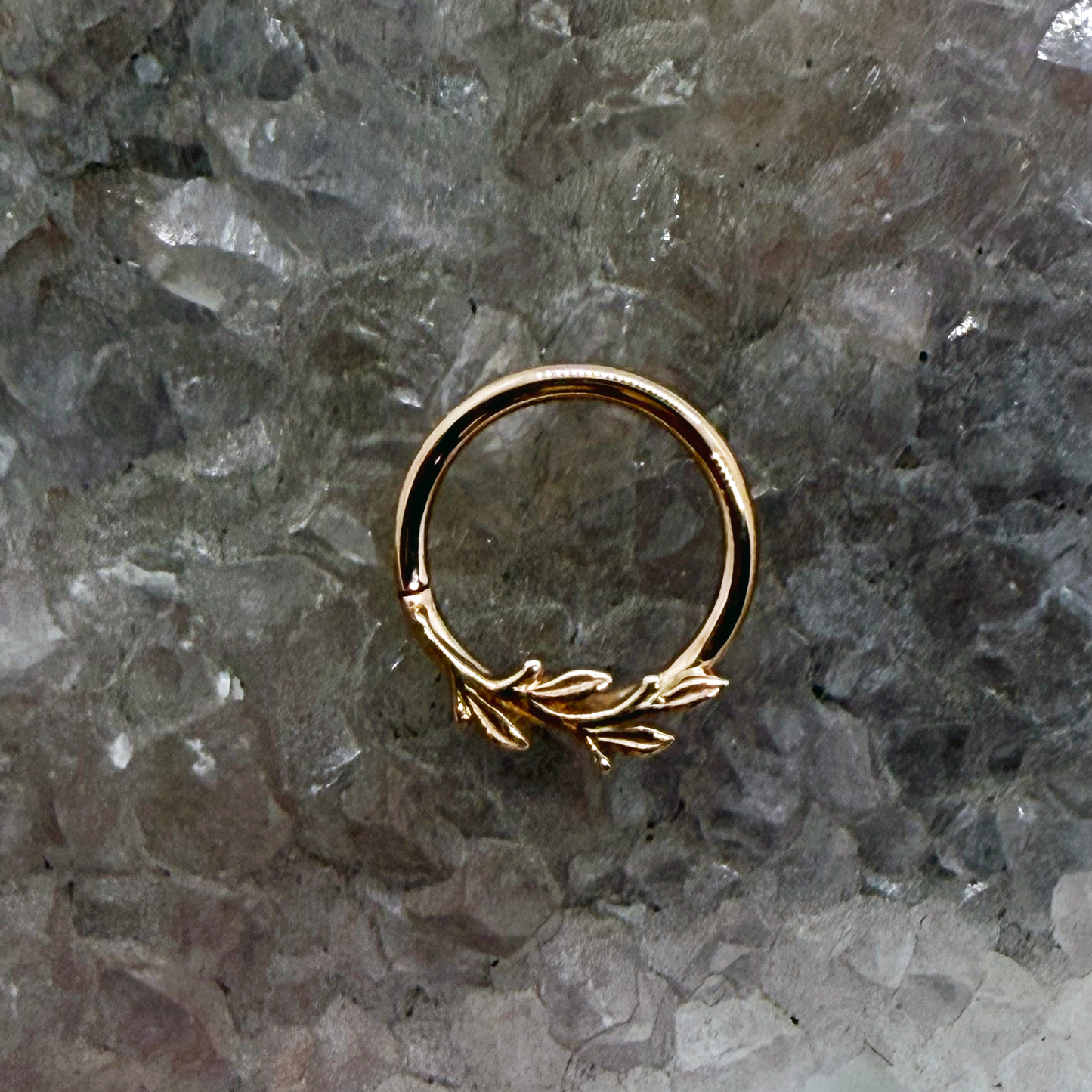 BVLA Amity Seam Ring