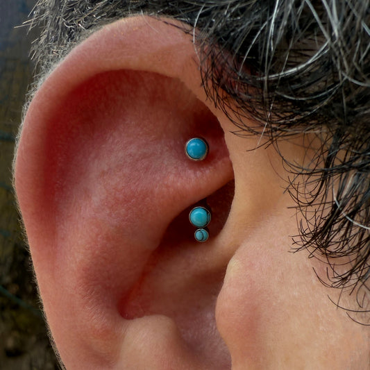 Rook