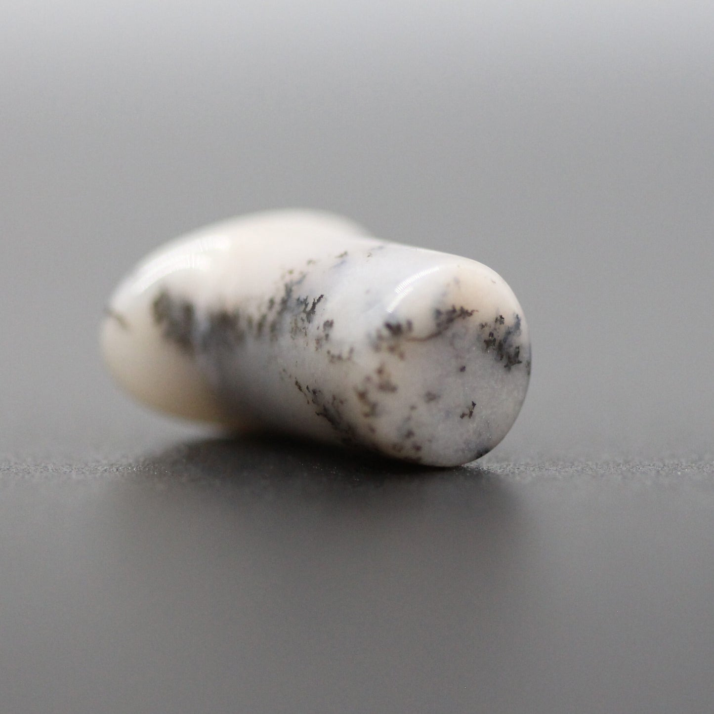 0g Dendritic Agate Round Labret image 0