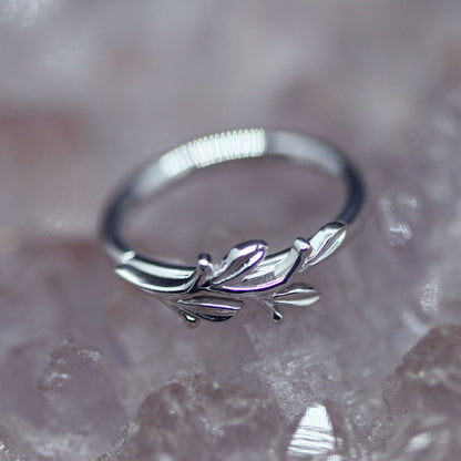 BVLA Amity Seam Ring