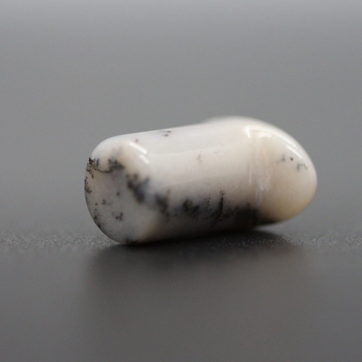 0g Dendritic Agate Round Labret image 1