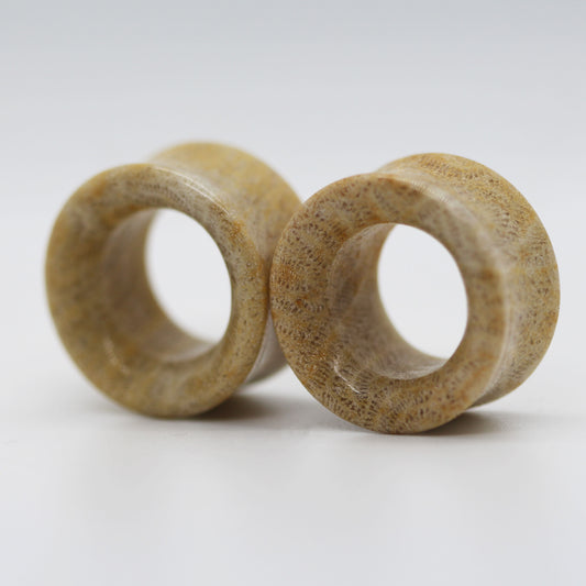 Fossilized Coral Eyelets