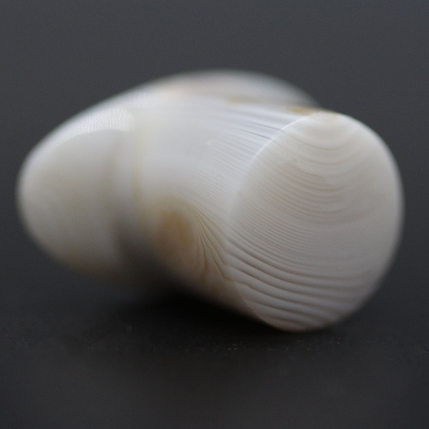 1/2" (12mm-13mm) Stone Labrets