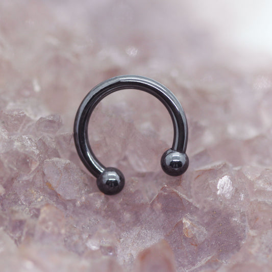 Polished Black Niobium Circular Barbell
