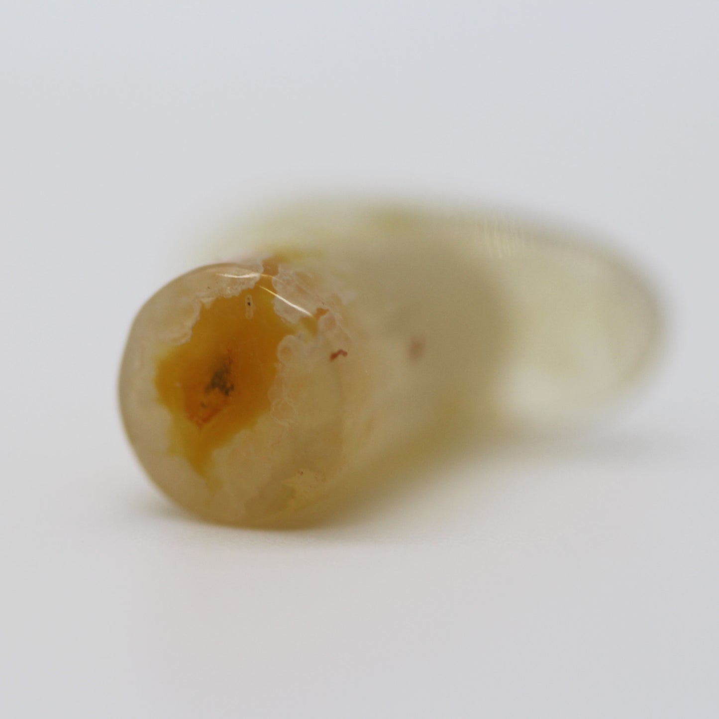 2g (6mm-7mm) Stone Labrets